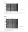 Fig. 07 - Methods of treatment using recombinant oxalate oxidase