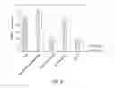 Fig. 04 - Artificial mimic miRNA for controlling gene expression, and use of same