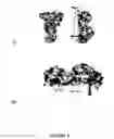 Fig. 05 - COMPOUNDS AND METHODS FOR TRANS-MEMBRANE DELIVERY OF MOLECULES