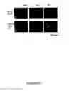 Fig. 07 - COMPOUNDS AND METHODS FOR TRANS-MEMBRANE DELIVERY OF MOLECULES