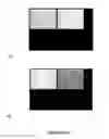 Fig. 13 - COMPOUNDS AND METHODS FOR TRANS-MEMBRANE DELIVERY OF MOLECULES
