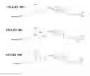 Fig. 20 - COMPOUNDS AND METHODS FOR TRANS-MEMBRANE DELIVERY OF MOLECULES