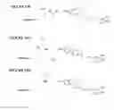 Fig. 22 - COMPOUNDS AND METHODS FOR TRANS-MEMBRANE DELIVERY OF MOLECULES