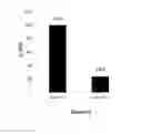 Fig. 23 - COMPOUNDS AND METHODS FOR TRANS-MEMBRANE DELIVERY OF MOLECULES