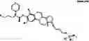 Fig. 76 - COMPOUNDS AND METHODS FOR TRANS-MEMBRANE DELIVERY OF MOLECULES