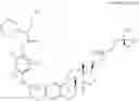 Fig. 80 - COMPOUNDS AND METHODS FOR TRANS-MEMBRANE DELIVERY OF MOLECULES