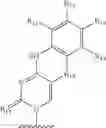 Fig. 15 - OLIGOMERIC COMPOUNDS AND COMPOSITIONS FOR USE IN MODULATION OF SMALL NON-CODING RNAS