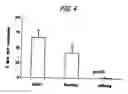 Fig. 07 - Pharmaceutical composition comprising Nanog shRNA, and method of using Nanog shRNA to treat cancer