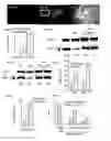 Fig. 02 - Modulation of pre-MRNA using splice modulating oligonucleotides as therapeutic agents in the treatment of disease
