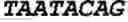 Fig. 33 - THERAPEUTIC