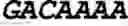 Fig. 41 - THERAPEUTIC