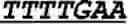 Fig. 49 - THERAPEUTIC