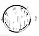 Fig. 28 - Expression and high-throughput screening of complex expressed DNA libraries in filamentous fungi