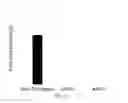 Fig. 08 - Methods And Materials For Producing Enhanced Sugar, Starch, Oil, And Cellulose Output Traits In Crop Plants