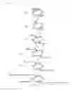 Fig. 02 - Method for Gene Amplification