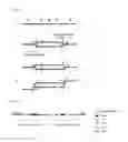 Fig. 03 - Method for Gene Amplification