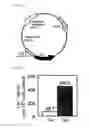 Fig. 04 - Method for Gene Amplification
