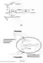 Fig. 02 - HYDROXYSTILBENE PRODUCTION METHOD