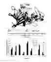 Fig. 02 - Stable, functional chimeric cellobiohydrolase class I enzymes