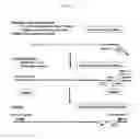Fig. 03 - Target enrichment by single probe primer extension