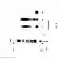 Fig. 09 - DNA amplification and sequencing using DNA molecules generated by random fragmentation