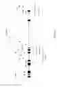 Fig. 12 - DNA amplification and sequencing using DNA molecules generated by random fragmentation