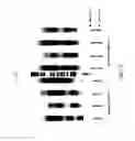 Fig. 18 - DNA amplification and sequencing using DNA molecules generated by random fragmentation