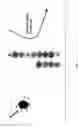 Fig. 05 - Methods and kits for nucleic acid sequencing