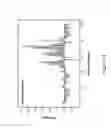 Fig. 14 - Methods of sequencing and identifying the position of a modified base in a nucleic acid