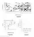 Fig. 07 - Methods for predicting anti-cancer response