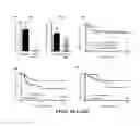 Fig. 15 - HSF1 IN TUMOR STROMA