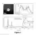 Fig. 02 - Synthesis of Au-induced structurally ordered AuPdCo intermetallic core-shell nanoparticles and their use as oxygen reduction catalysts