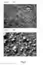 Fig. 03 - Method and formulations for removing rust and scale from steel and for regenerating pickling liquor in hot-dip galvanization process