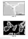 Fig. 10 - Synthesis and processing of Q-carbon, graphene, and diamond