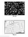 Fig. 11 - Synthesis and processing of Q-carbon, graphene, and diamond