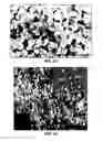 Fig. 45 - Synthesis and processing of Q-carbon, graphene, and diamond
