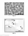Fig. 07 - DIRECT CONVERSION OF CARBON INTO DIAMOND AND STRUCTURES FOR A VARIETY OF APPLICATIONS