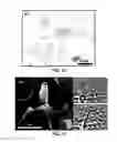 Fig. 12 - DIRECT CONVERSION OF CARBON INTO DIAMOND AND STRUCTURES FOR A VARIETY OF APPLICATIONS