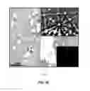 Fig. 20 - DIRECT CONVERSION OF CARBON INTO DIAMOND AND STRUCTURES FOR A VARIETY OF APPLICATIONS