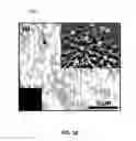 Fig. 22 - DIRECT CONVERSION OF CARBON INTO DIAMOND AND STRUCTURES FOR A VARIETY OF APPLICATIONS