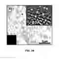 Fig. 24 - DIRECT CONVERSION OF CARBON INTO DIAMOND AND STRUCTURES FOR A VARIETY OF APPLICATIONS