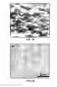 Fig. 25 - DIRECT CONVERSION OF CARBON INTO DIAMOND AND STRUCTURES FOR A VARIETY OF APPLICATIONS