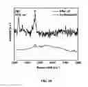 Fig. 29 - DIRECT CONVERSION OF CARBON INTO DIAMOND AND STRUCTURES FOR A VARIETY OF APPLICATIONS