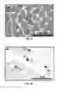 Fig. 07 - Conversion of carbon into n-type and p-type doped diamond and structures