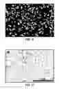Fig. 11 - Conversion of carbon into n-type and p-type doped diamond and structures