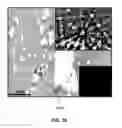 Fig. 20 - Conversion of carbon into n-type and p-type doped diamond and structures