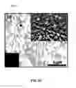 Fig. 22 - Conversion of carbon into n-type and p-type doped diamond and structures