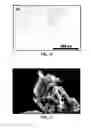 Fig. 08 - Synthesis and processing of novel phase of boron nitride (Q-BN)