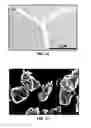 Fig. 10 - Synthesis and processing of novel phase of boron nitride (Q-BN)