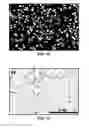 Fig. 11 - Synthesis and processing of novel phase of boron nitride (Q-BN)